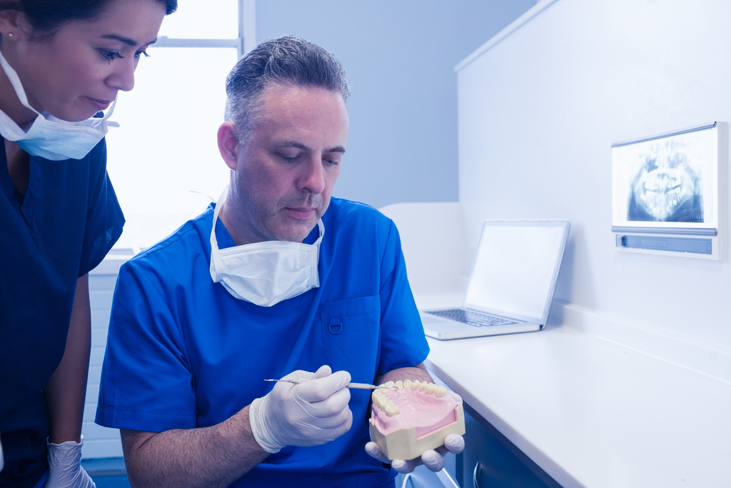 Dentist and assistant studying model of mouth at the dental clin